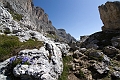 2011-08-24_09-50-27 cadore